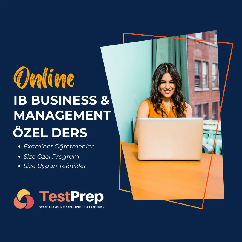 IB Business and Management Özel Ders Sizin Öğrenme Tekniklerinize Göre ve 7 Almanız İçin Planlanıyor