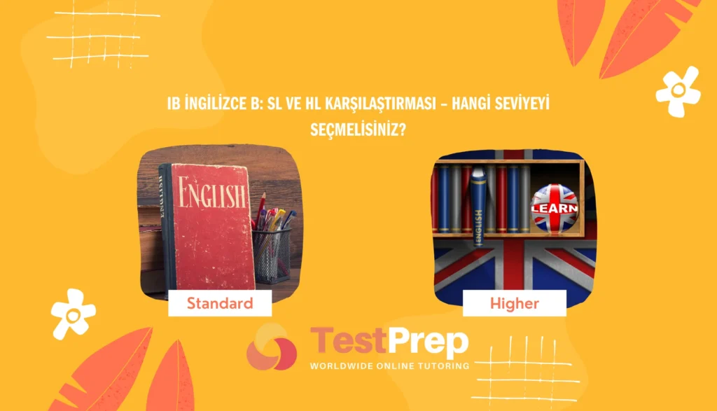 IB İngilizce B: SL ve HL Karşılaştırması – Hangi Seviyeyi Seçmelisiniz?